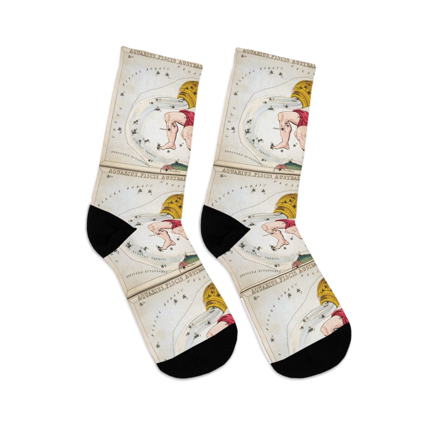 Aquarius Vintage / Zodiac / Recycled Poly Socks